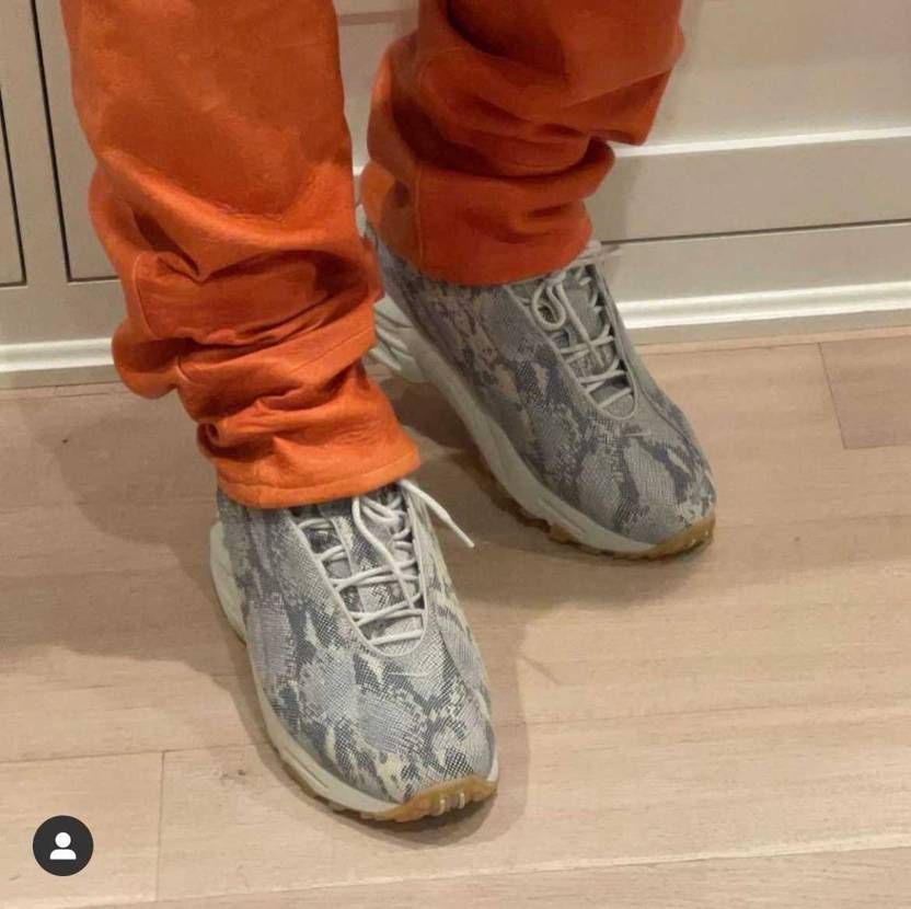 ドレイク×NIKE Hot Step Air Terra Snakeskinらし