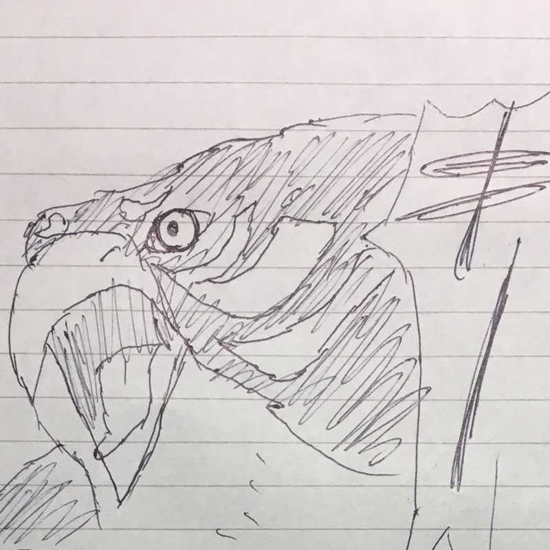 せんざき(出品者)