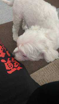 TOKI