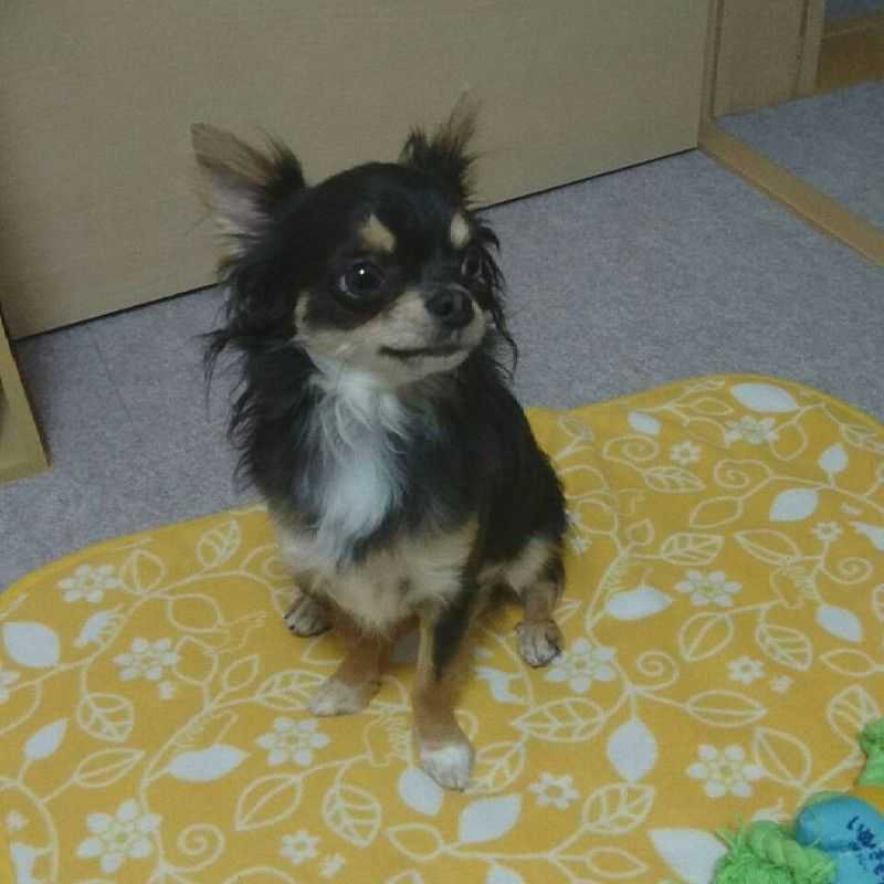りょうz