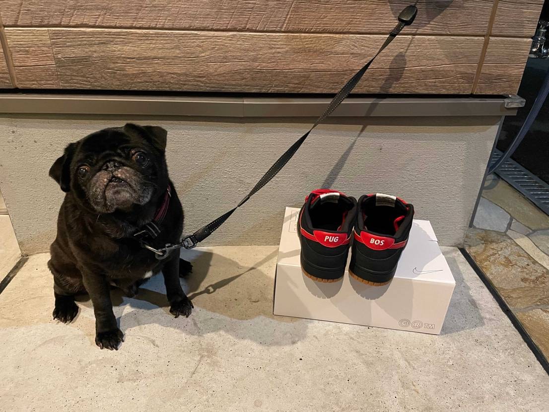 PUG DUNK