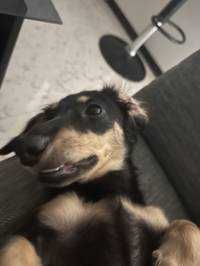 ユーザーアイコン