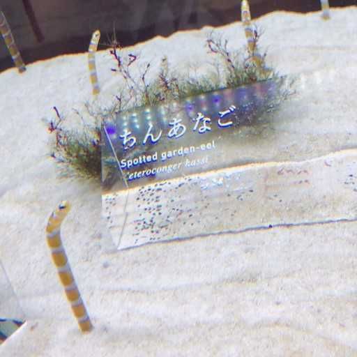 キータ
