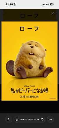 ぴーあぴーあ(出品者)
