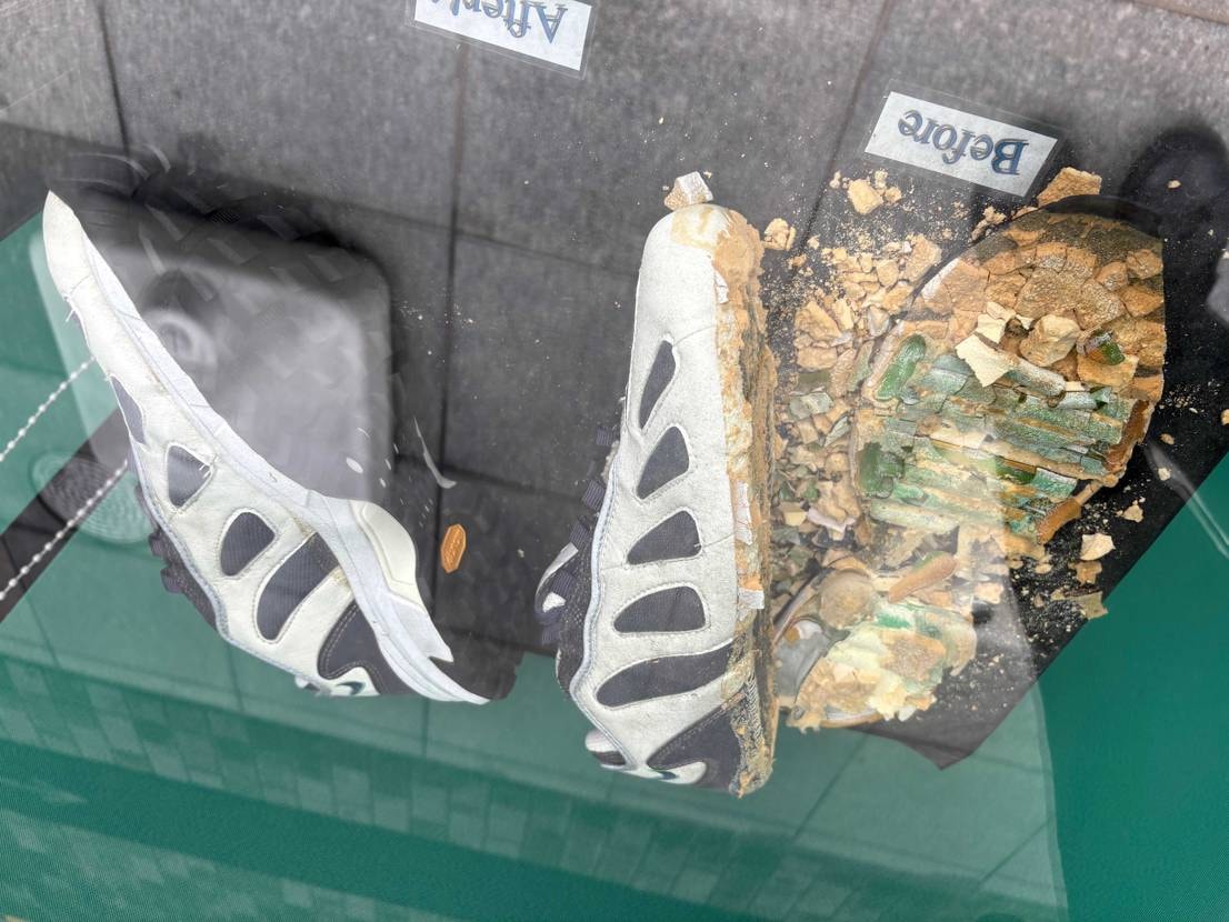 今週も水曜でこれ