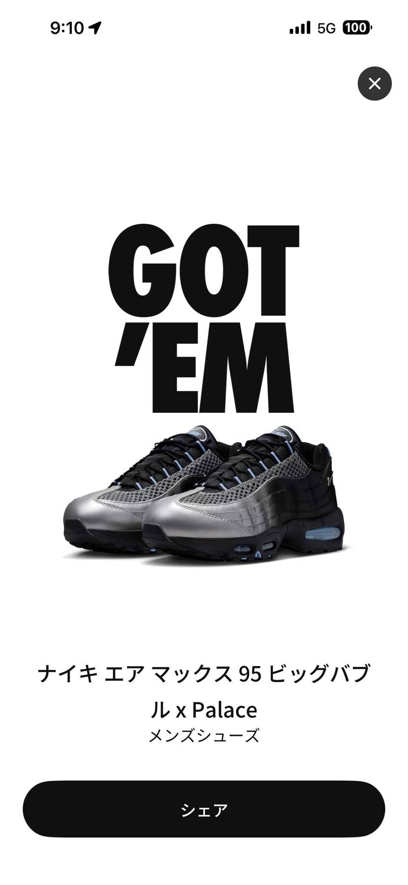 パレス✖️AIR MAXゴッテム