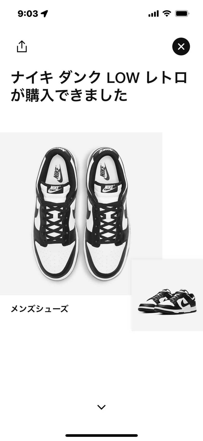 3足目😅ツレにでも譲ろう