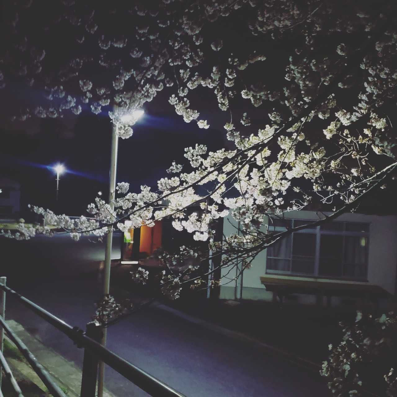 え