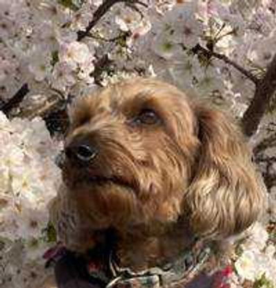 ユーザーアイコン