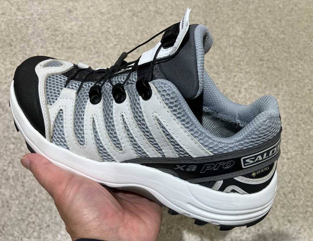 夕方から雨が降りそうなので、SalomonのXA-Pro G