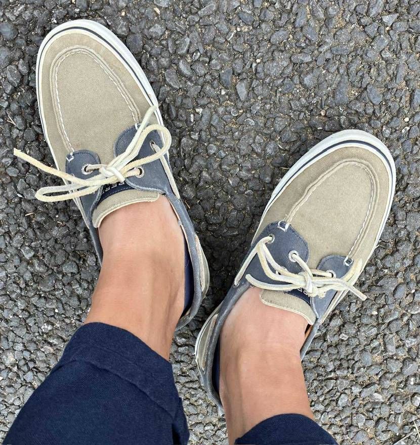 おはようございます☀️
東京は33℃予想、今日も暑くなりそうです。
これはス