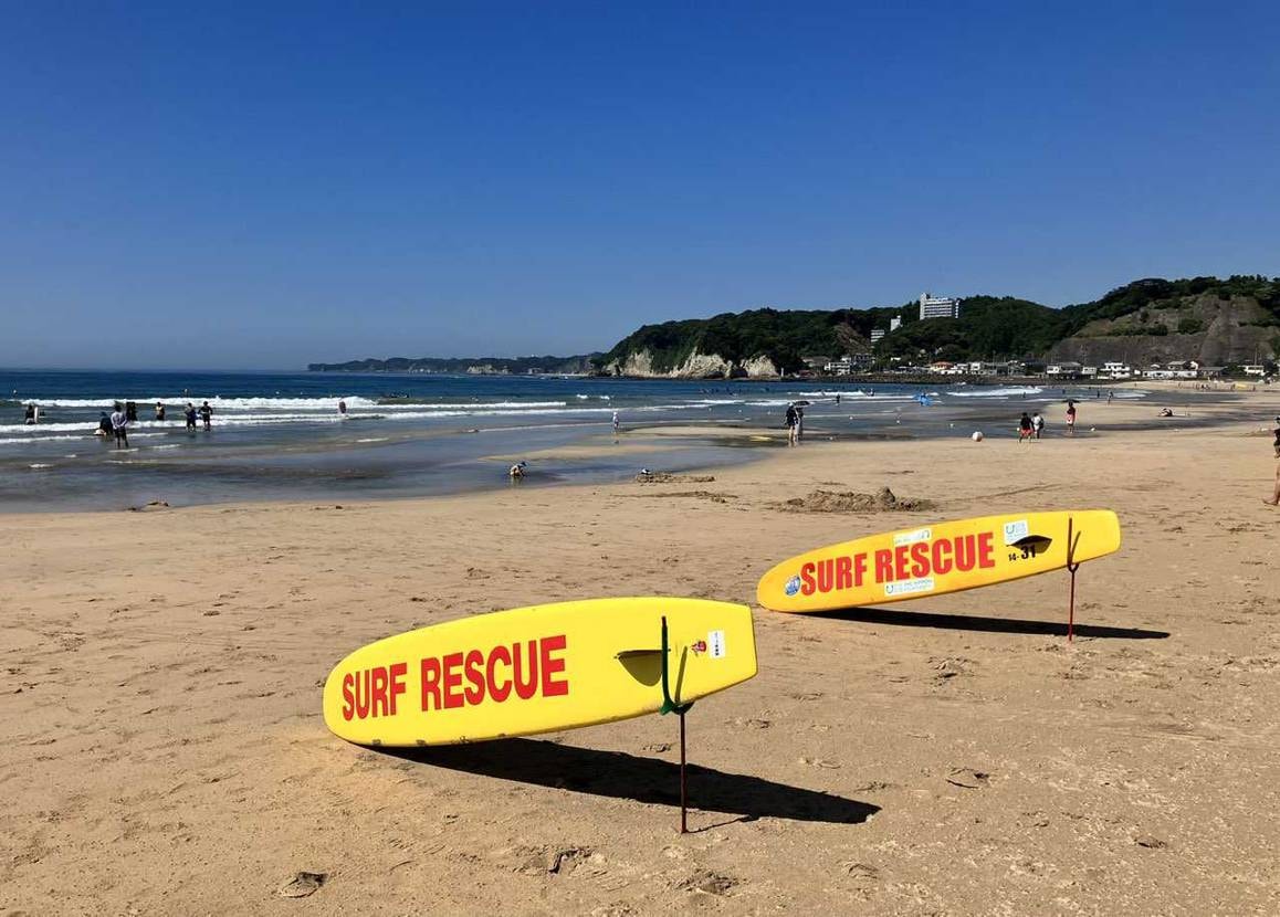 おはようございます☀️
今朝も夏本番の日差しですね。
本