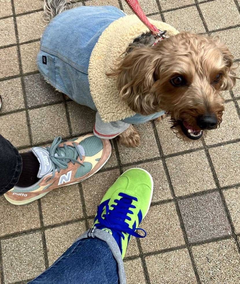 おはようございます☀️
私的adidas 2monthsの