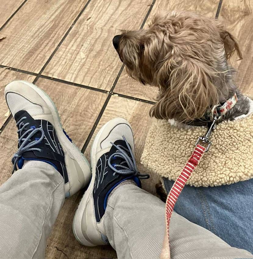 こんばんは🌇
夕食後に愛犬と共によるさんぽ。
adidas 2month中で