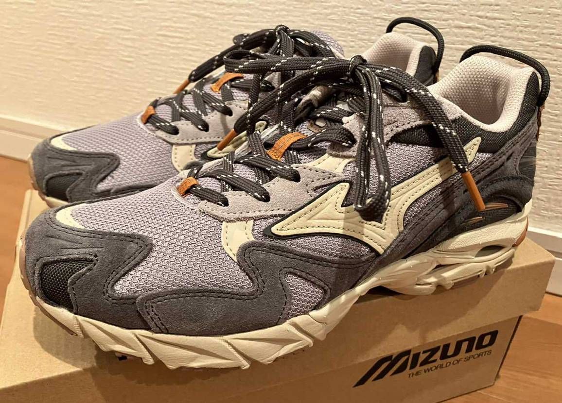先日こちらで在庫情報をご教示いただき購入した、念願のMIZU
