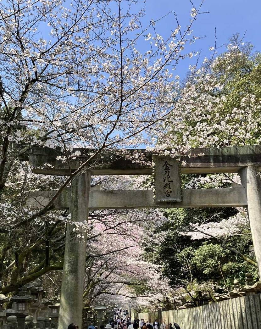 こんにちは。👪香川ツアー2日目は金比羅参りへ。
ラッキーな