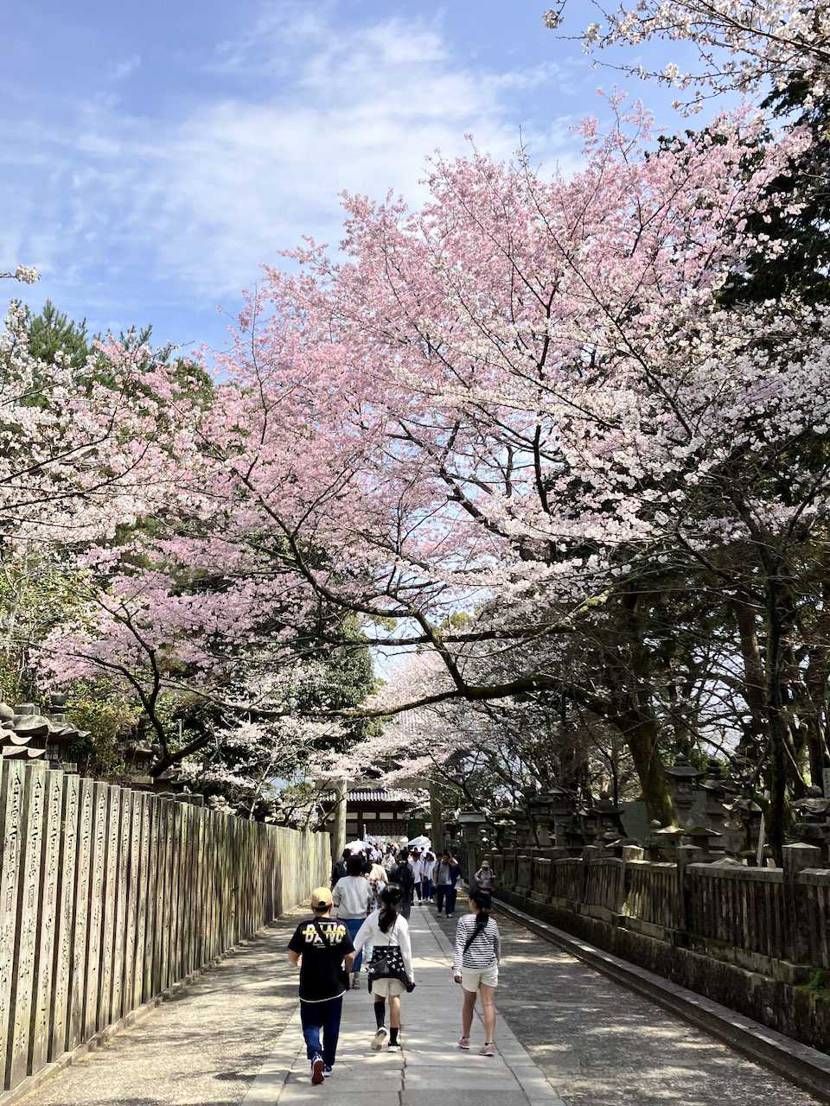 こんにちは。👪香川ツアー2日目は金比羅参りへ。
ラッキーな