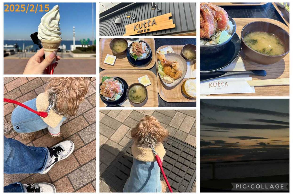 おはようございます☀️ 
首都圏は久しぶりに穏やかな土日で