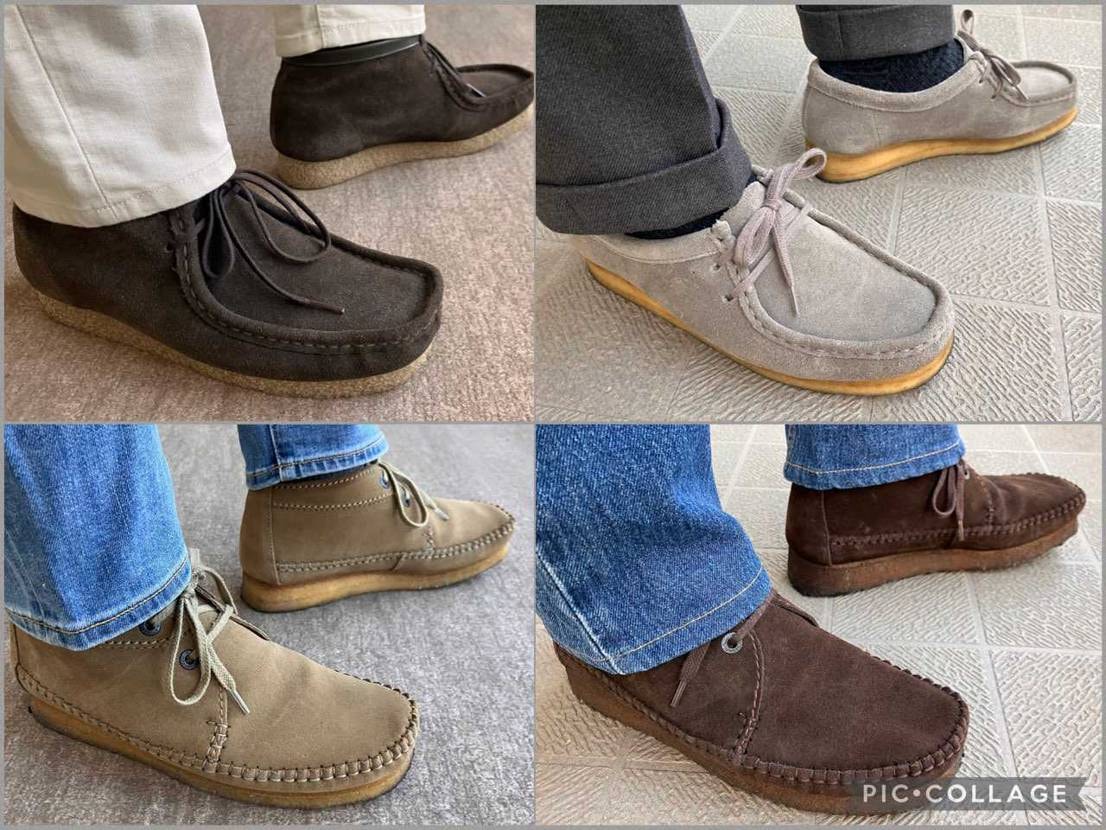 おはようございます☀️
4日間続けたワラビー系最終日は、H