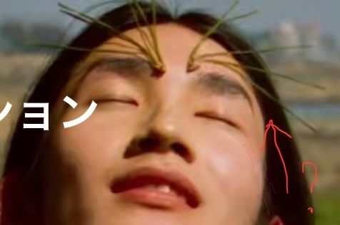 これは一体何か？