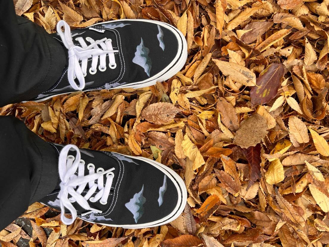 買えて良かった。
#Vans
#Authentic
#HanaiYusuk