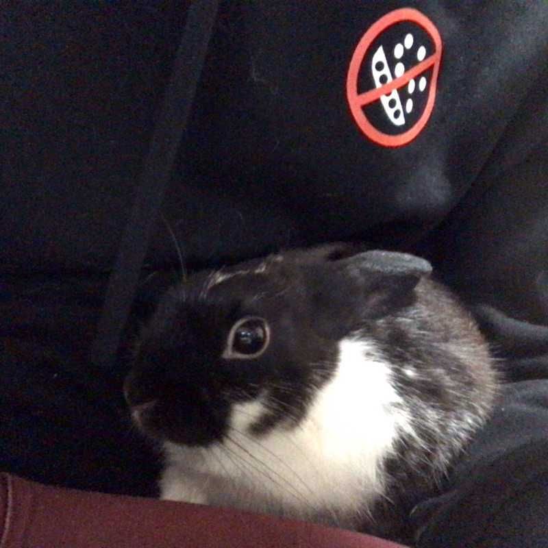 ばろ