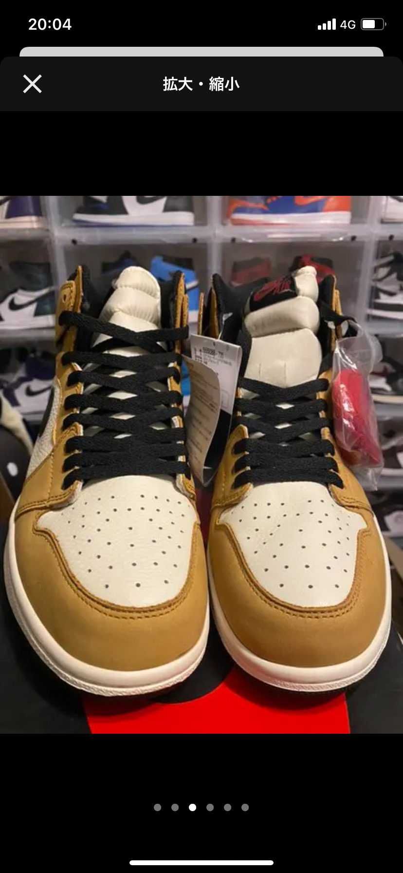 コレって、　、　可哀想に