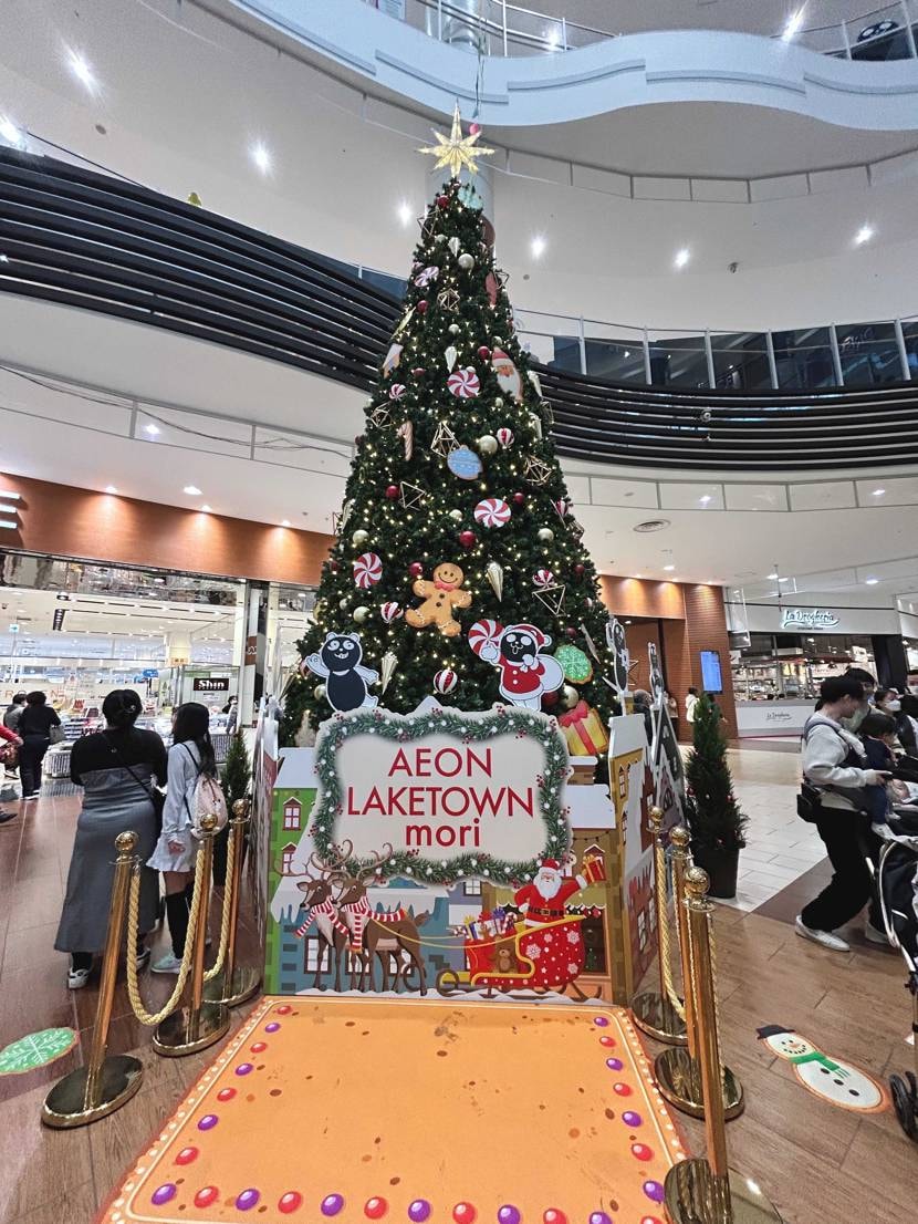 秋冬ファッションにアママニエールはハズせないですね🫘🍁🍂アラ