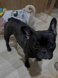 ユーザーアイコン