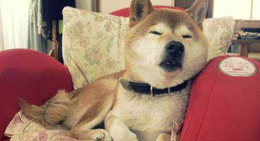 ユーザーアイコン