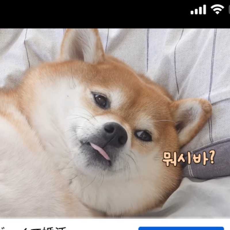 EDDY ヨンフン