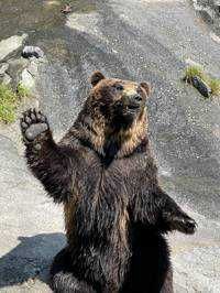 ユーザーアイコン