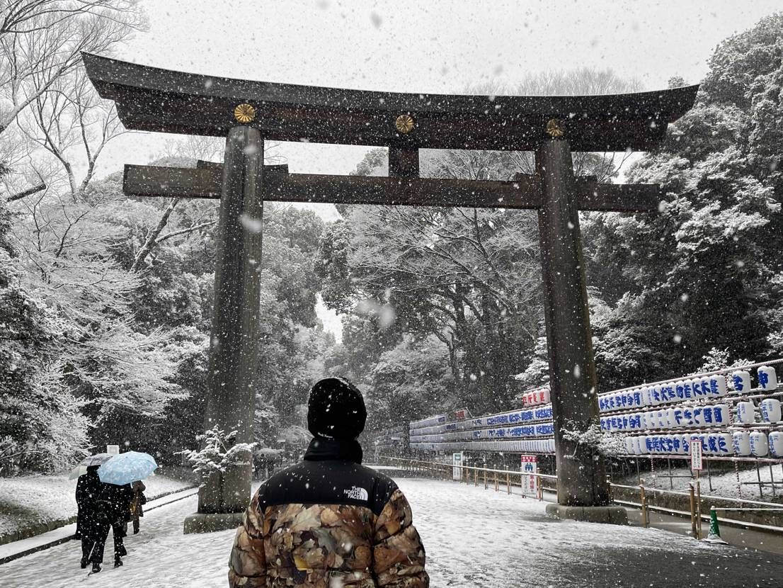 雪❄️