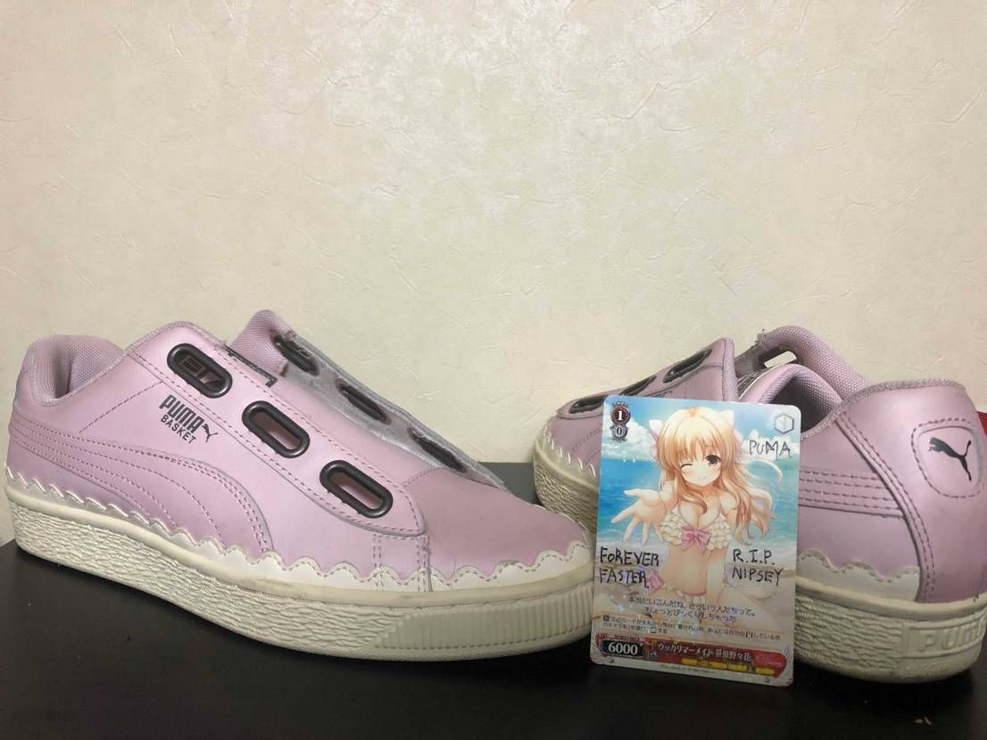 これがそのpumaです。

本題へ

本日はnips