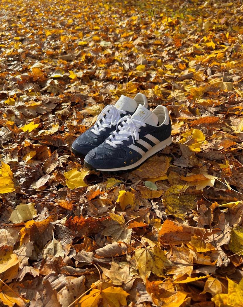昨日の雨風で家の付近は落ち葉だらけになりました🍂
綺麗だっ