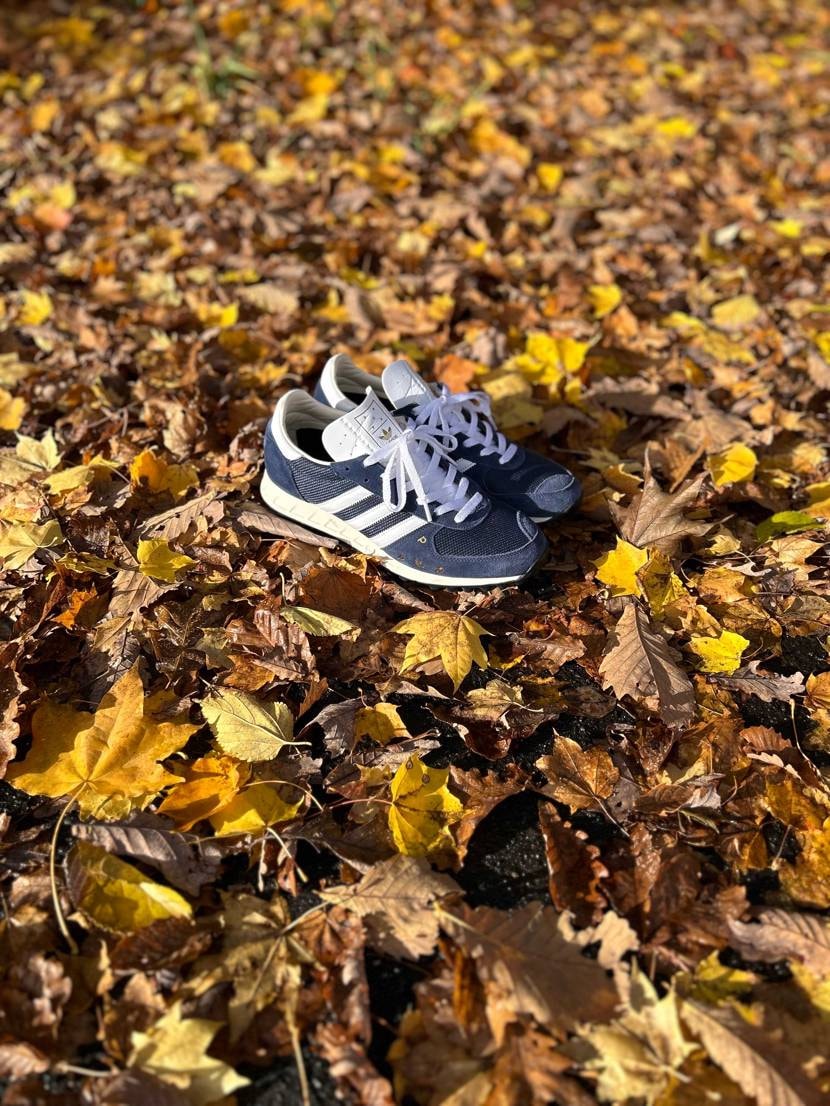 昨日の雨風で家の付近は落ち葉だらけになりました🍂
綺麗だっ