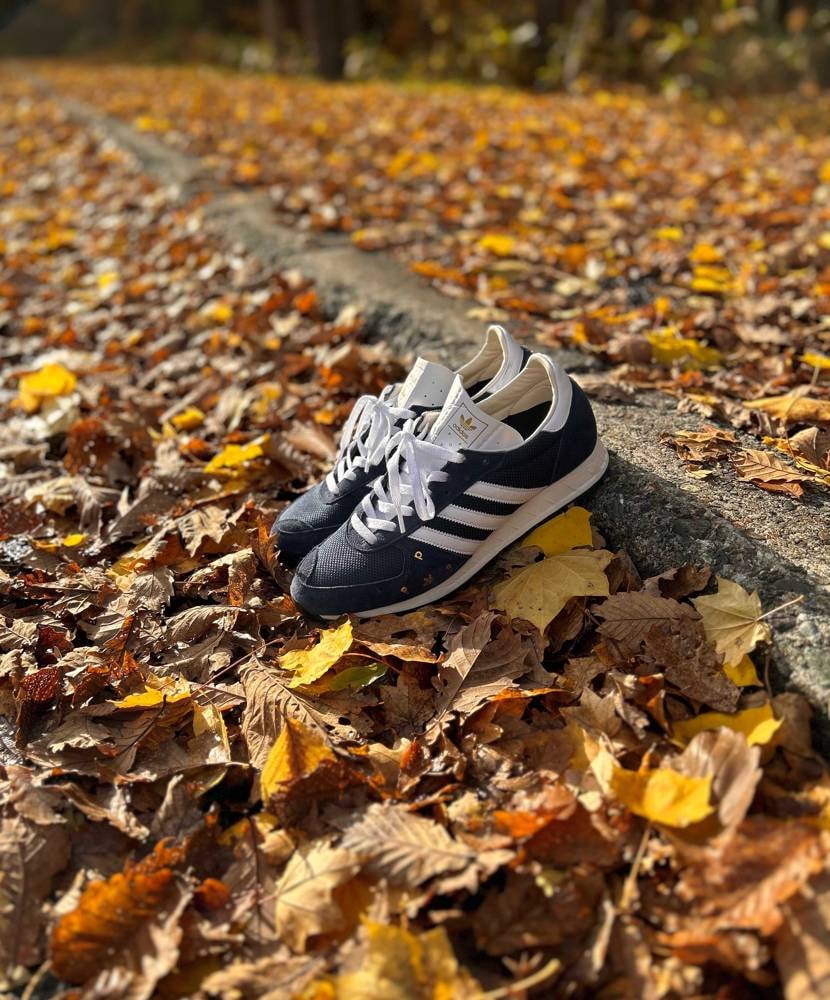 昨日の雨風で家の付近は落ち葉だらけになりました🍂
綺麗だっ