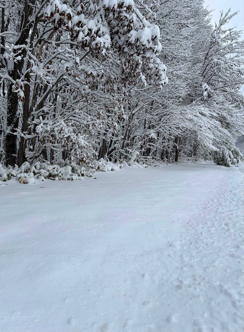 年末全体的に相場上がる前の今が買い時と思い、ひっそりとブレッ