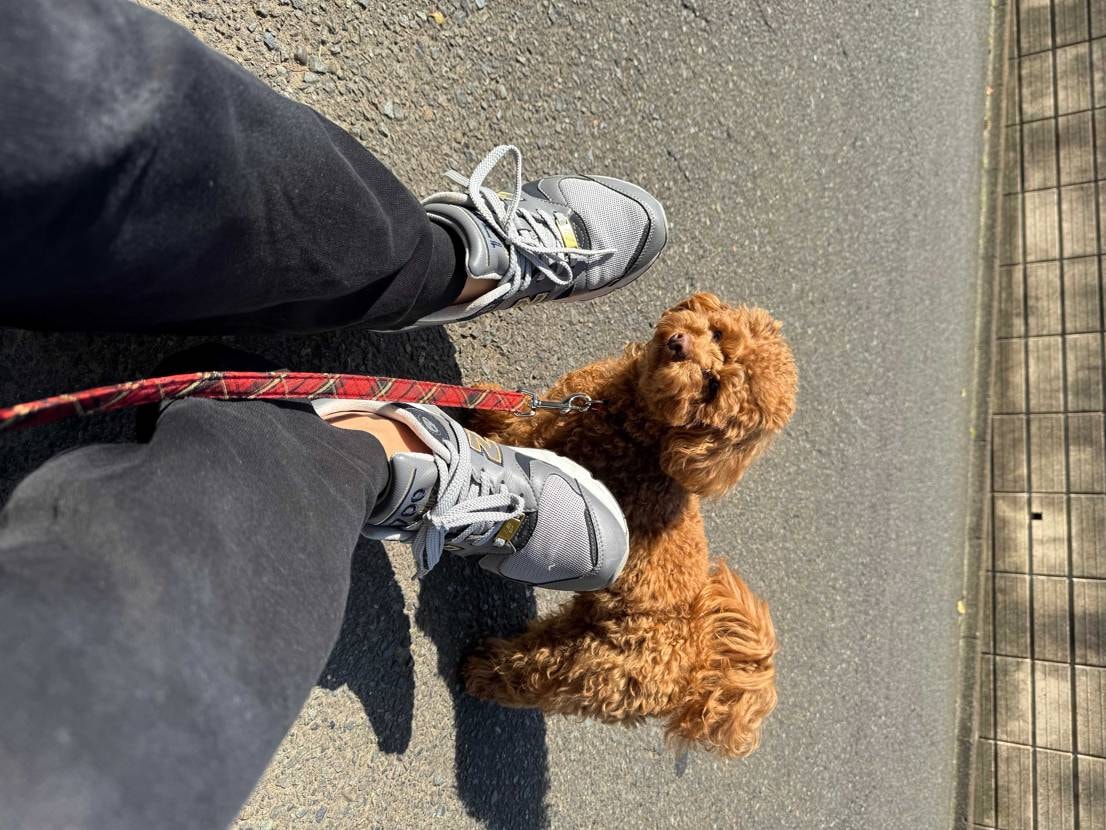 今回のMM6、狙っていた白を購入しました
マルジェラにおい