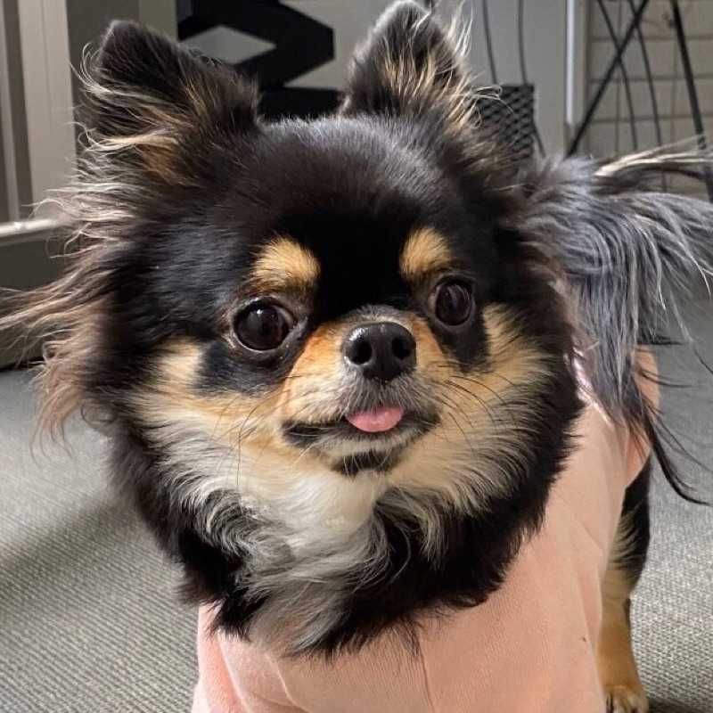 BBB