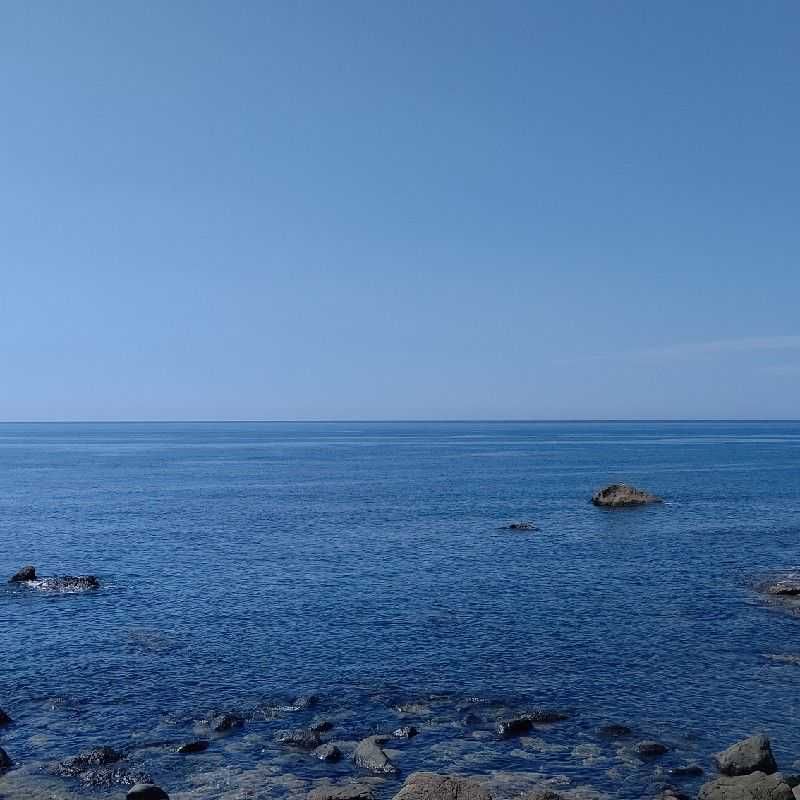 下田和広(出品者)