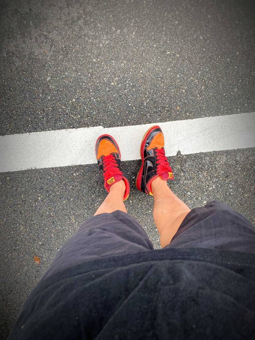 今日はHawaiiつながりで

この子☺️