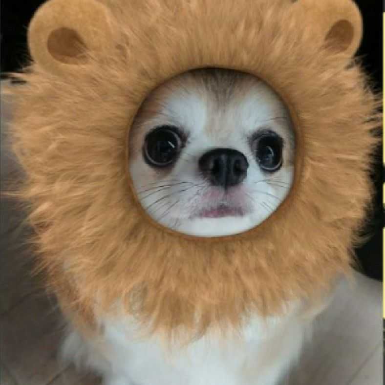 ユーザーアイコン
