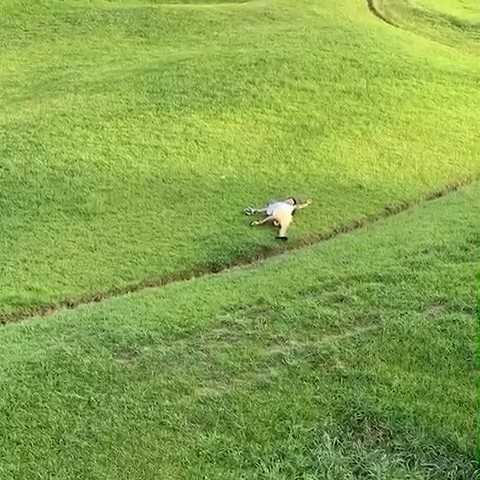 ふるや(出品者)