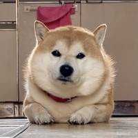 F