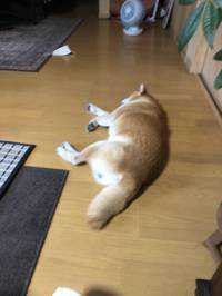 りょうすけ