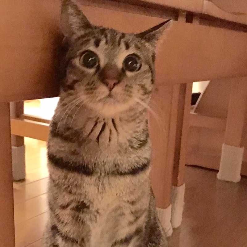 ちひろ