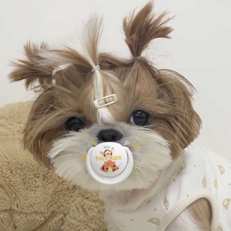 ??