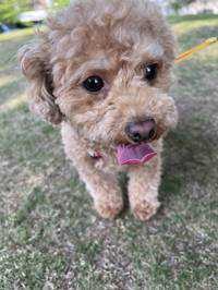 ユーザーアイコン