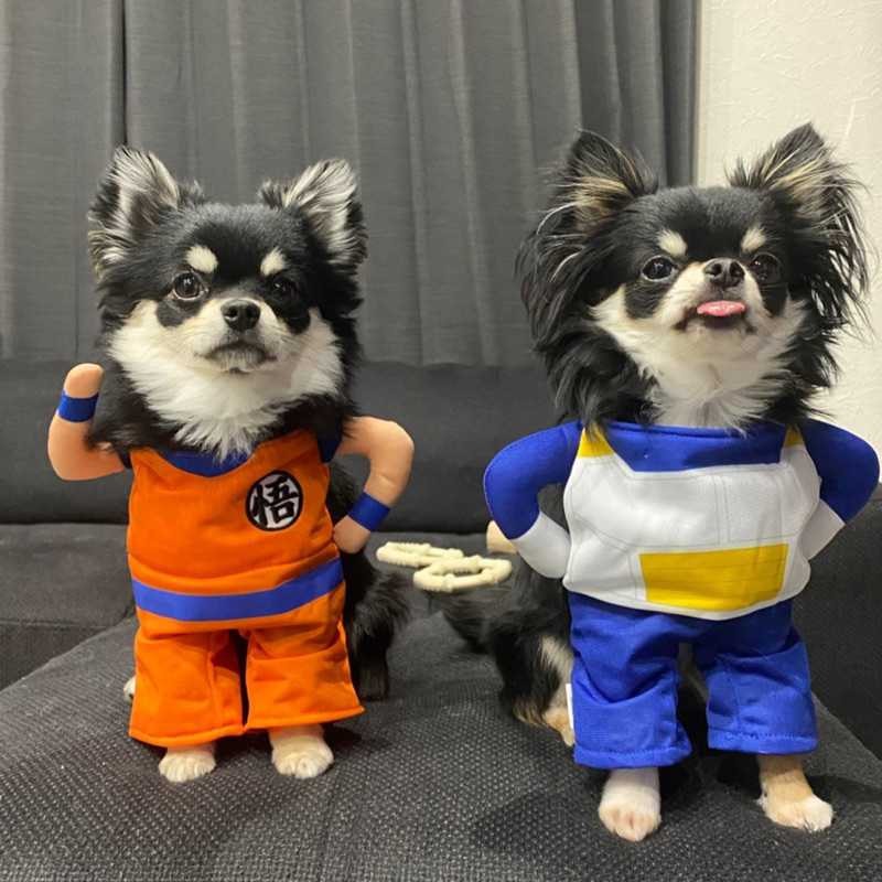 さえ